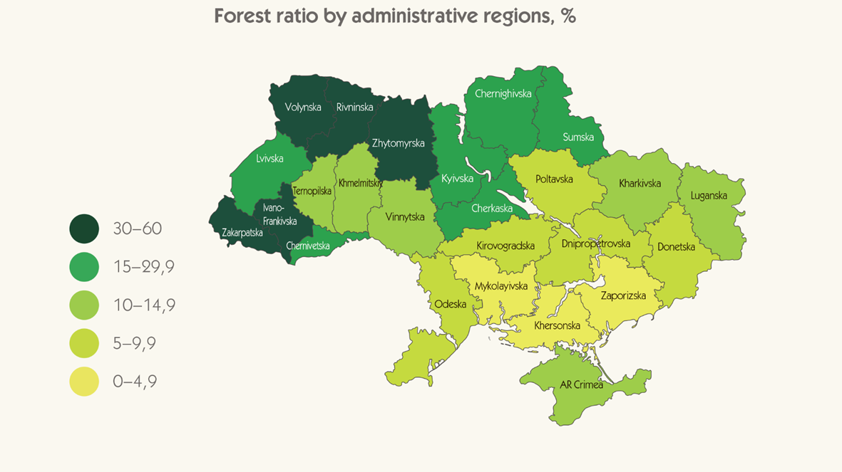 Raportti: Ukrainan metsät